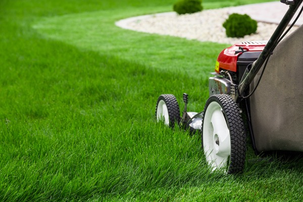 Push or Ride: How to Choose a Lawn Mower