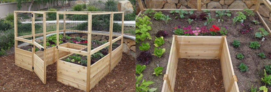 square garden bed