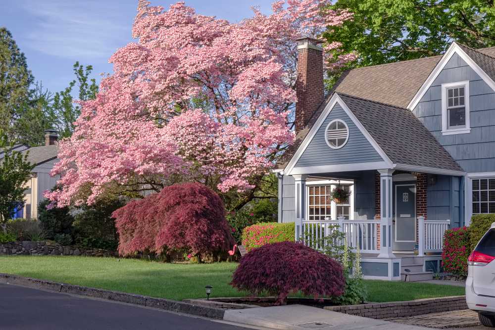 Inspect, Clean, Repair: Spring Home Maintenance Checklist