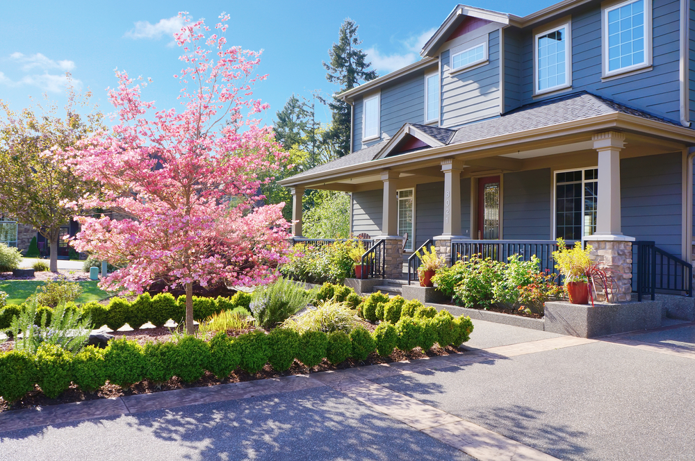 7 curb appeal ideas to get your home noticed