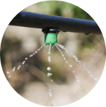 Drip Irrigation