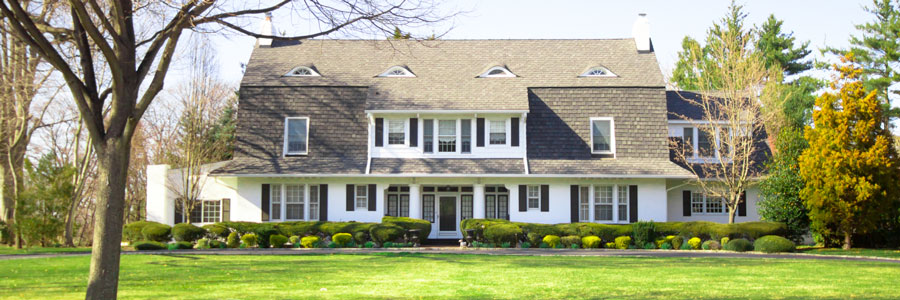 colonial home with trees in front yard